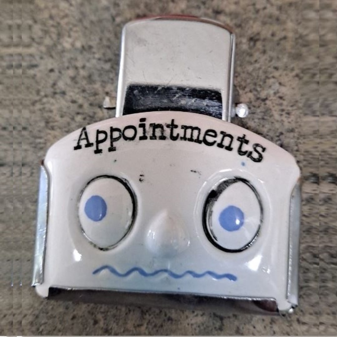Appointments Ceramic Crazy Clip