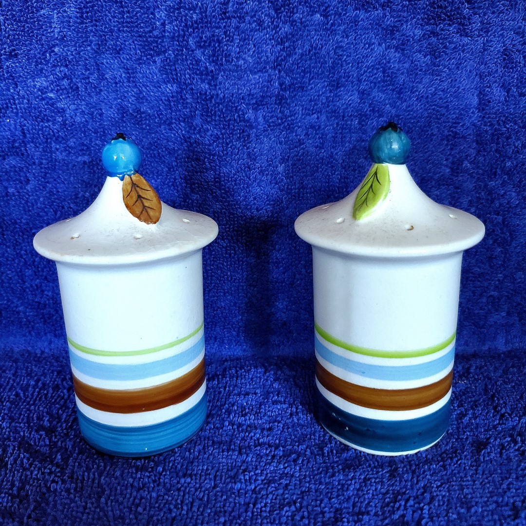 Blueberry salt and pepper shakers.